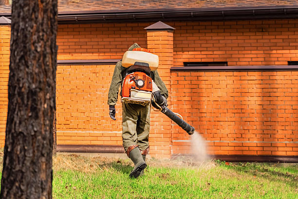 Trusted Cockroach Control service in Beech Mountain Lakes, PA - Nex Pest Control